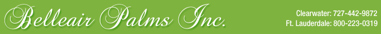 Belleair Palms Inc. Clearwater: 727-442-9872 Ft. Lauderdale: 800-223-0319